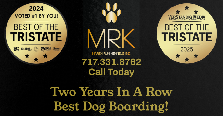 Marsh Run Kennels Best of the Tri-State 2024-2025
